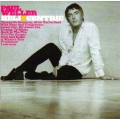 Paul Weller - Heliocentric